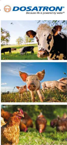 用于养猪业的 Dosatron 配料泵和配药器 _ 动物健康 3