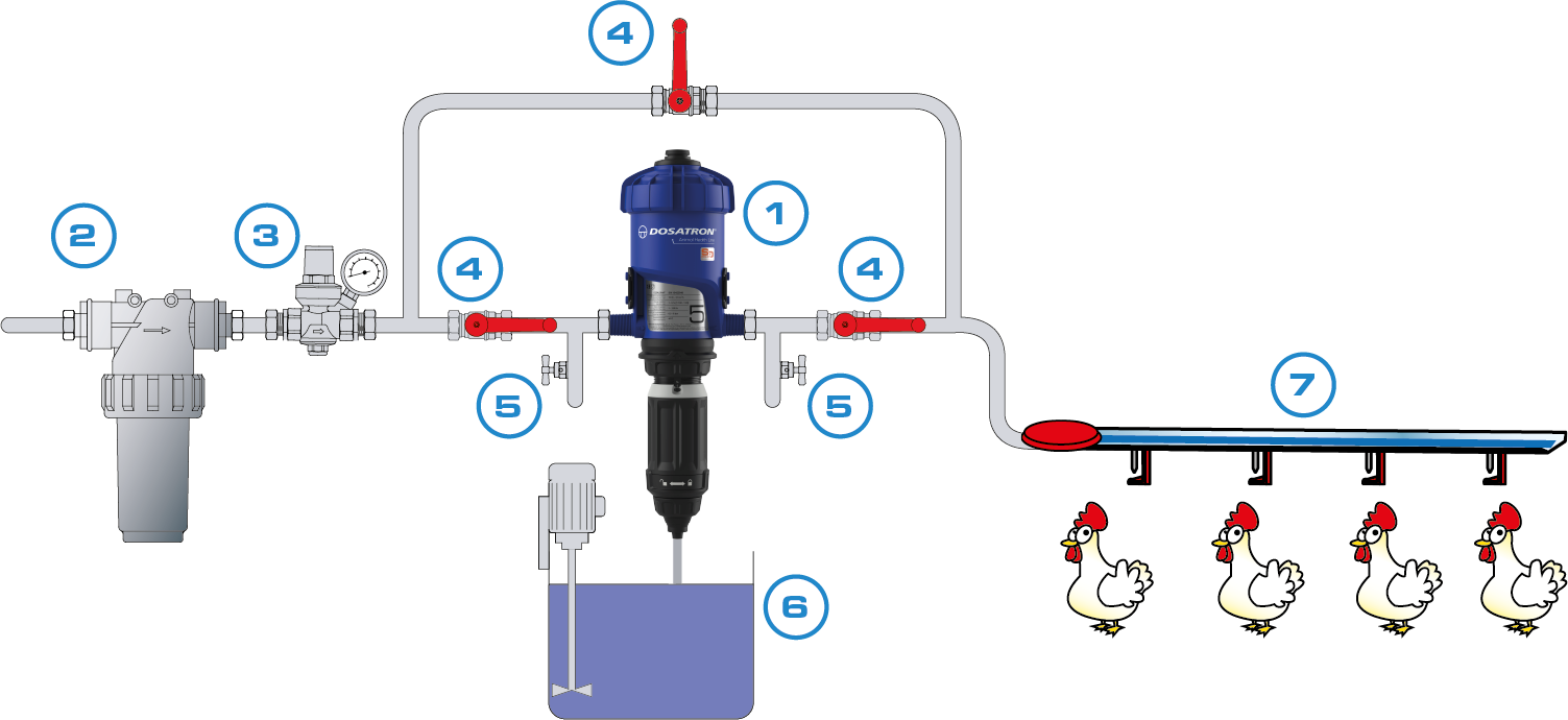 pollame-acidificazione-immagine