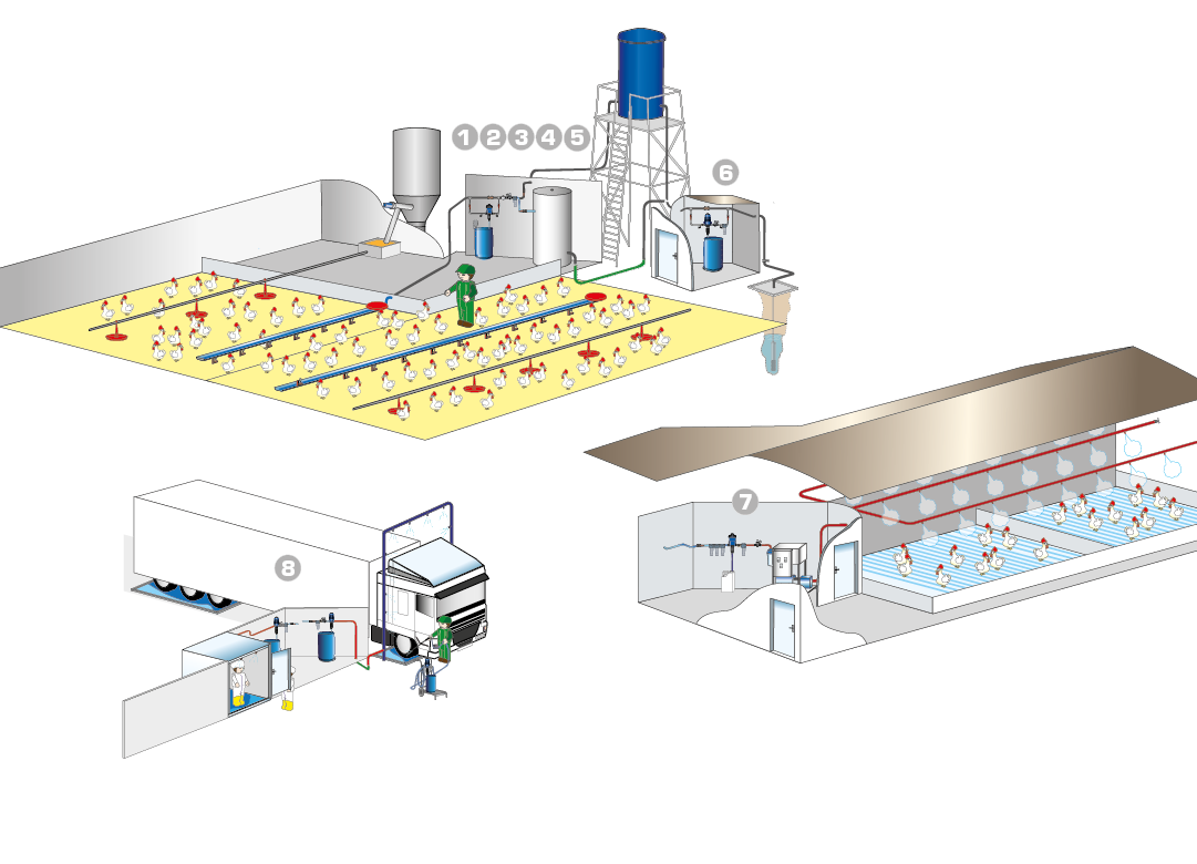 Scheme of all poultry applications of Dosatron non-electric dosing pumps