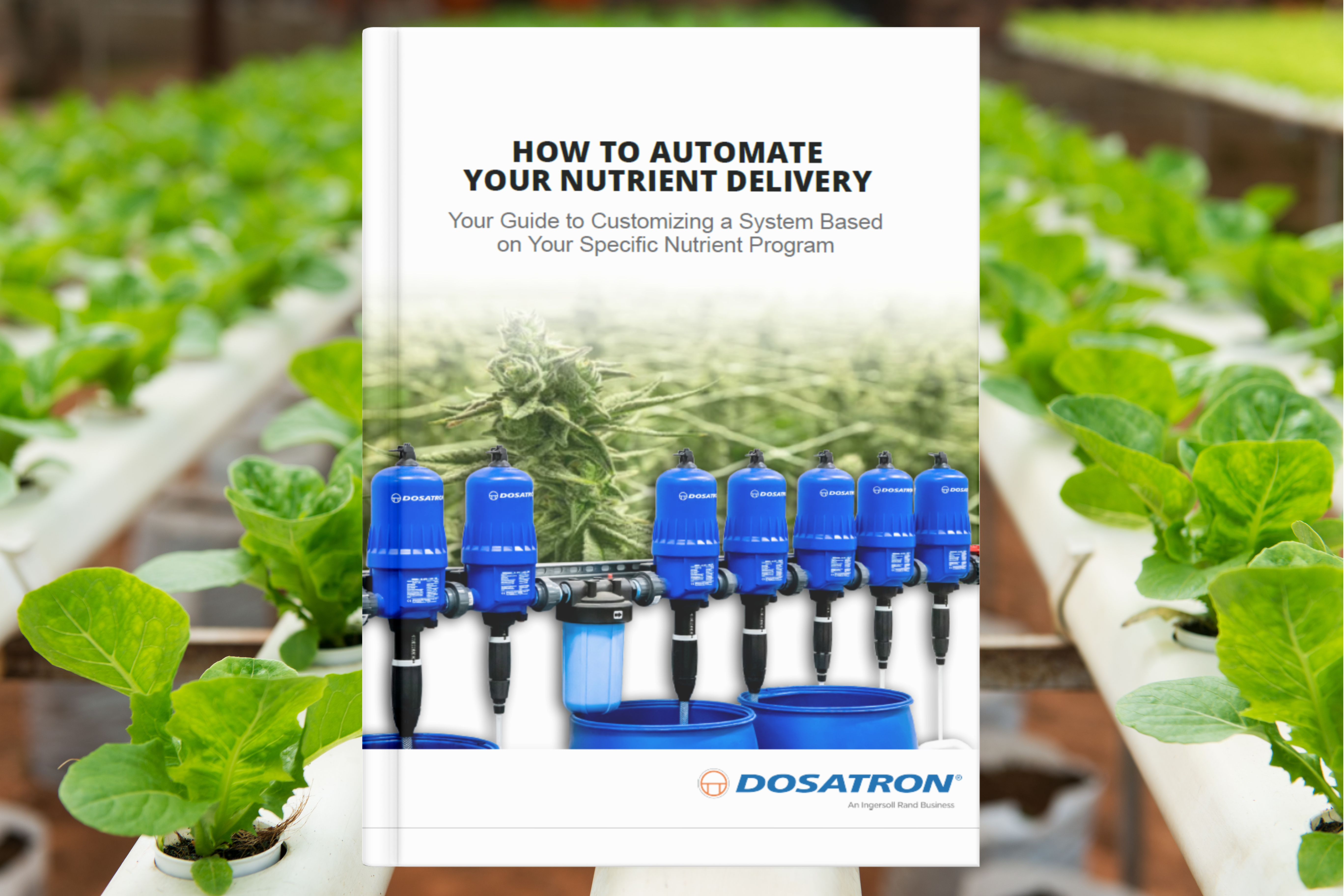 automate-your-nutrient-delivery